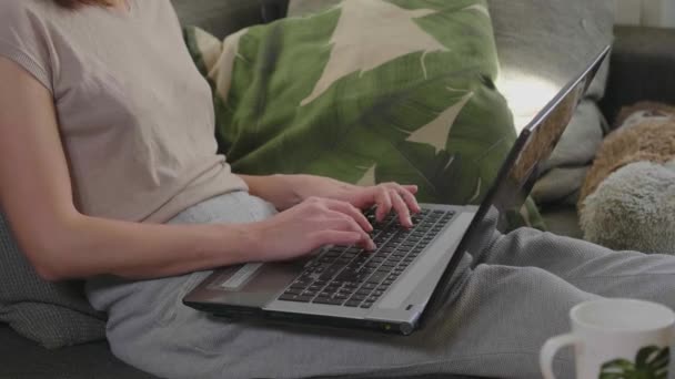 Young woman sits on the couch and works on her laptop - Πλάνα, βίντεο