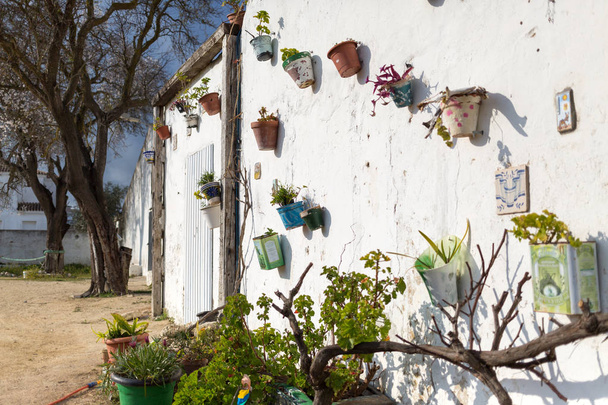 Macetas en las paredes de Vejer De La Frontera, España
 - Foto, imagen