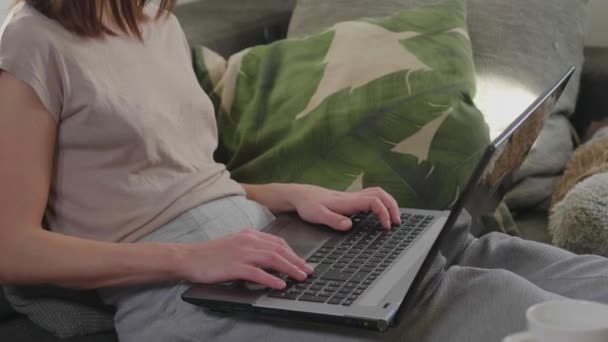 Young woman sits on the couch and works on her laptop - Materiał filmowy, wideo