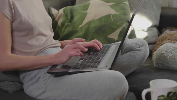Young woman sits on the couch and works on her laptop - Séquence, vidéo