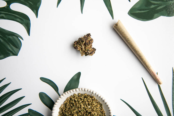 Bud marihuánát és ferde közös ülnek trópusi növényzet háttér - minimalista kannabisz  - Fotó, kép