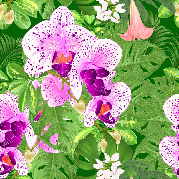 Bouquet with tropical flowers  floral arrangement beautiful orchid Phalaenopsis  purple and white with    Schefflera  and Monstera vintage vector illustration  editable hand draw  - Vecteur, image