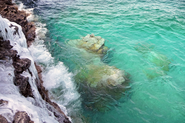 岩が多い海岸線に氷の崖 - 写真・画像