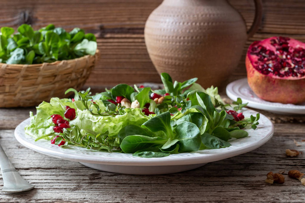 Spring salad with wild chickweed, nut lettuce and pomegranate - Fotografie, Obrázek
