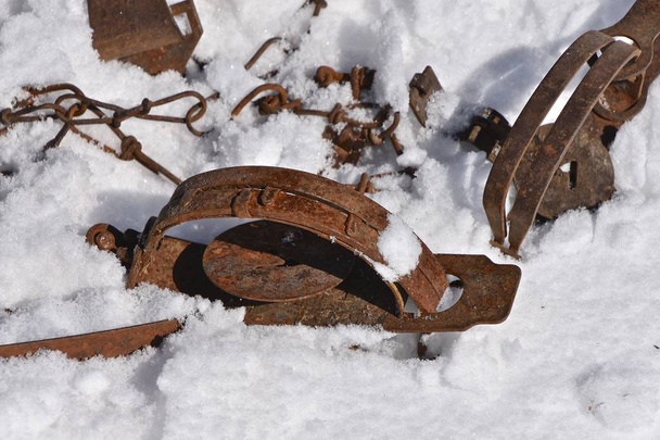 Una trampa de salto oxidada se deja en un banco de nieve
. - Foto, imagen