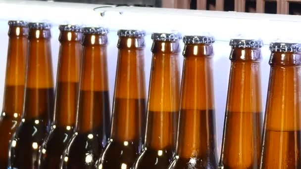 Bierproduktionsanlage. Reihe voller verpackungsfertiger Flaschen. Industrielinie zum Abfüllen von Bier. Bierflaschen nach dem Waschen in einem Förderband. 4k - Filmmaterial, Video