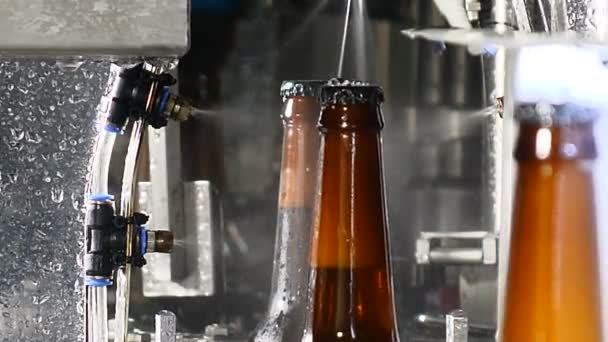 Konveyör tam bira şişe yıkama. Cam şişe fabrikası. Endüstriyel satırındaki şişe. Bira kahverengi cam şişeler, fabrika atölye için Konveyör bant taşıyın. Dolu bira cam şişe - Video, Çekim