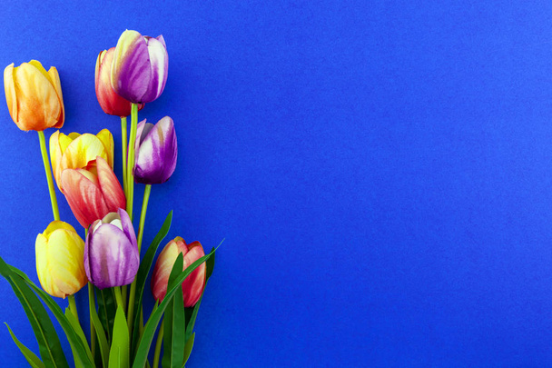 Flores de primavera de flores de tulipanes sobre fondo colorido
. - Foto, imagen