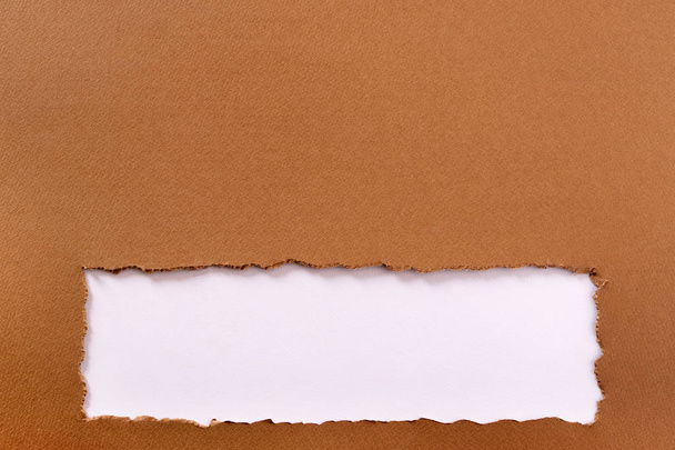 Tira de marco de papel marrón rasgado borde inferior
  - Foto, Imagen