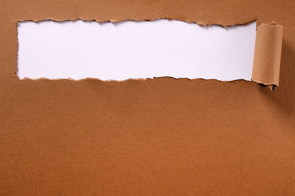 Torn brown paper long rolled edge header frame white background - Photo, Image
