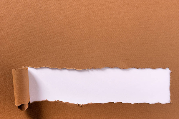 Torn brown paper long rolled bottom edge header frame white background - Photo, Image