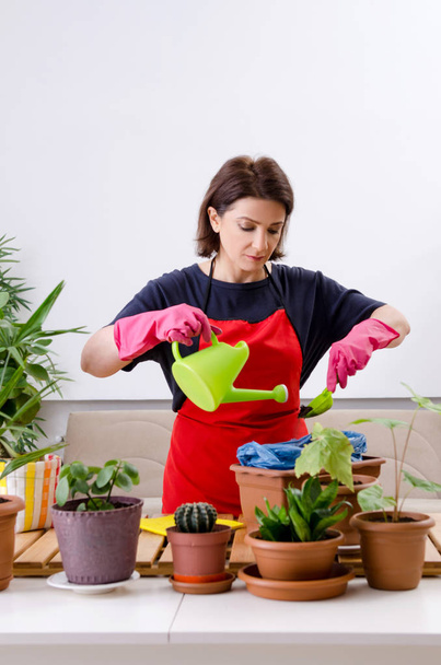 Female gardener with plants indoors  - Foto, Bild
