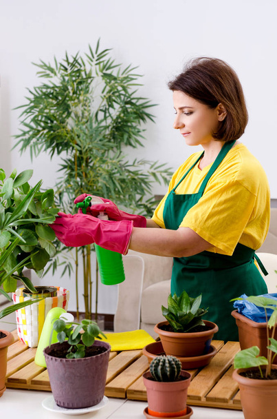 Gärtnerin mit Pflanzen im Haus  - Foto, Bild