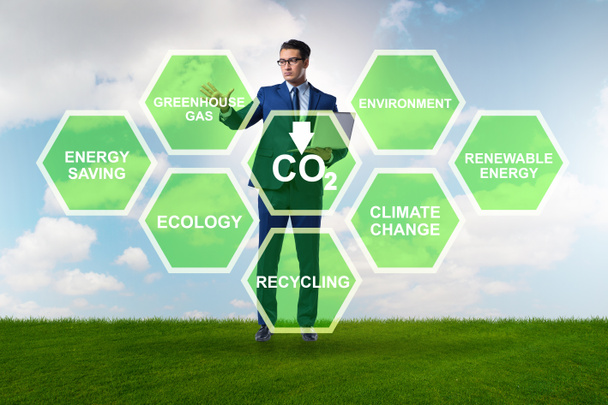 Businessman in ecology and environment concept - Photo, Image