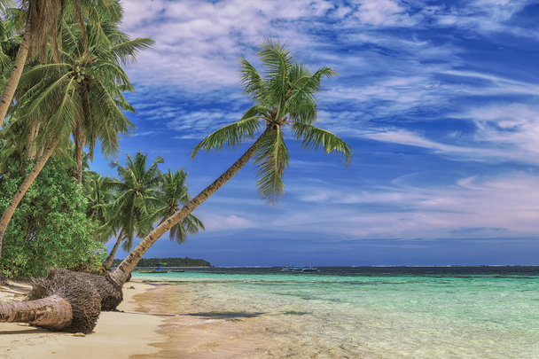 Bela praia. Vista da praia tropical agradável com palmas ao redor. Conceito de férias e férias. Praia tropical Filipinas na ilha costeira Siargao
 - Foto, Imagem