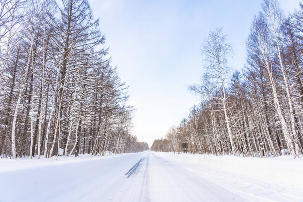 Kaunis ulkona luonto maisema puu lumessa talvikaudella Hokkaido Japanissa
 - Valokuva, kuva