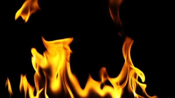 Tűz az égő láng háttér - Felvétel, videó