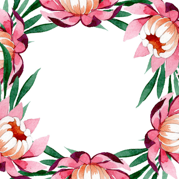 Pink lotus ornament floral botanical flower. Watercolor background illustration set. Frame border ornament square. - Zdjęcie, obraz