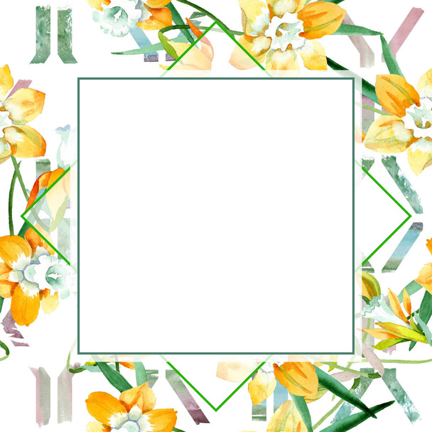 gelber Narziss, botanische Blüte. Aquarell Hintergrundillustration Set. Rahmen Rand Ornament Quadrat. - Foto, Bild