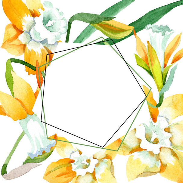 Yellow narcissus floral botanical flower. Watercolor background illustration set. Frame border ornament square. - Foto, afbeelding