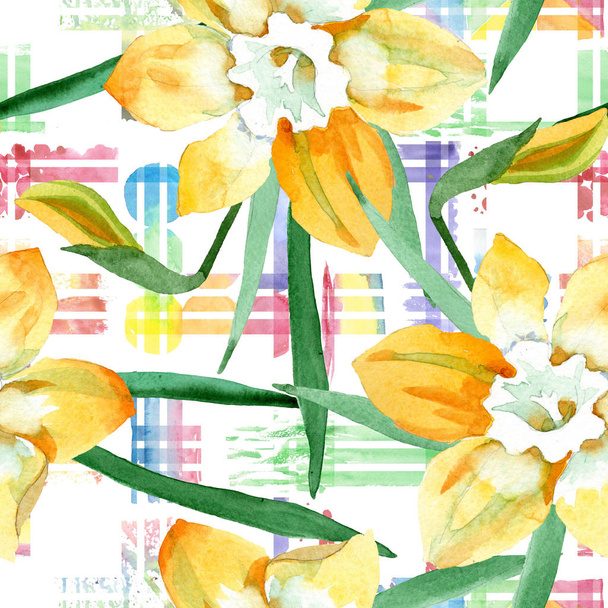 gelber Narziss, botanische Blüte. Aquarell Hintergrundillustration Set. nahtloses Hintergrundmuster - Foto, Bild