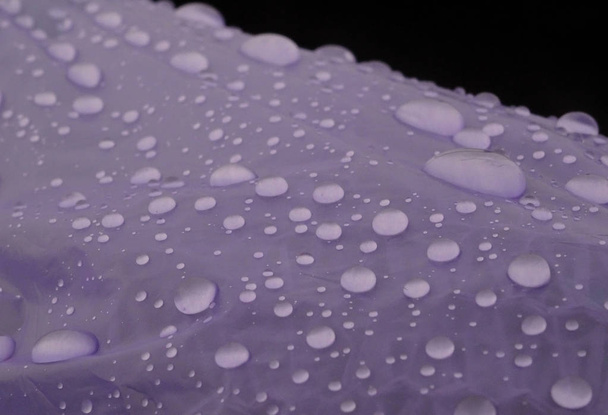 Gotas de água no filme plástico azul detalhado
  - Foto, Imagem