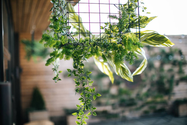 creative decor and design for a loft, green plant and metal cage - Foto, imagen