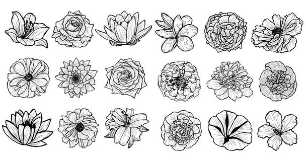Decorative  flowers set, design elements. Can be used for cards, invitations, banners, posters, print design. Floral background in line art style - Wektor, obraz