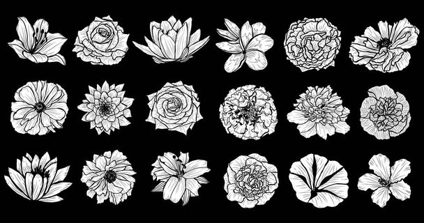 Decorative  flowers set, design elements. Can be used for cards, invitations, banners, posters, print design. Floral background in line art style - Wektor, obraz