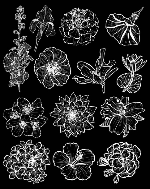 Decorative  flowers set, design elements. Can be used for cards, invitations, banners, posters, print design. Floral background in line art style - Вектор,изображение