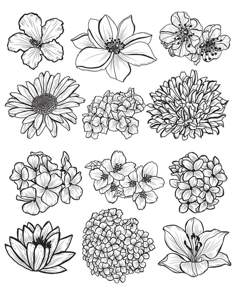 Decorative  flowers set, design elements. Can be used for cards, invitations, banners, posters, print design. Floral background in line art style - ベクター画像