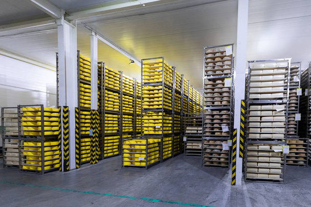 shelves with cheese at a cheese warehouse - Photo, Image