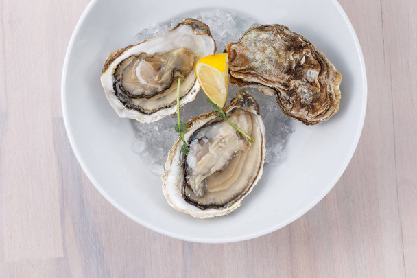 Plate with raw oysters and lemon slices on ice. Top view - Photo, Image