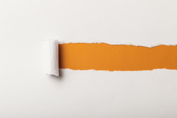torn paper with rolled edge and copy space on orange background - Fotografie, Obrázek