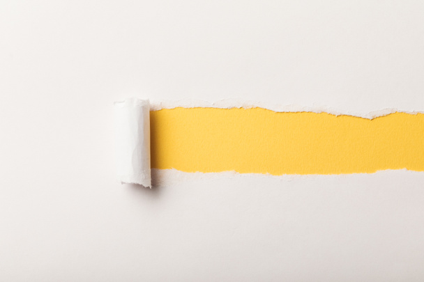 torn paper with rolled edge and copy space on yellow background - Фото, зображення