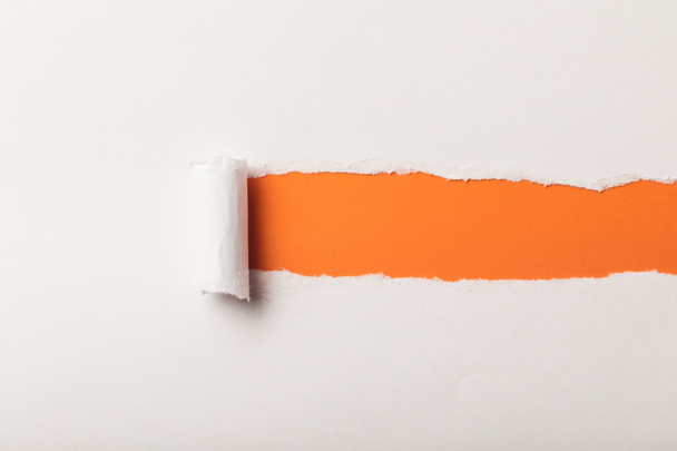 torn white paper with rolled edge on orange background - Fotoğraf, Görsel