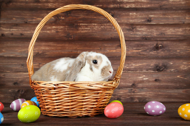 Hermoso conejo con huevos de Pascua sobre fondo de madera
 - Foto, Imagen