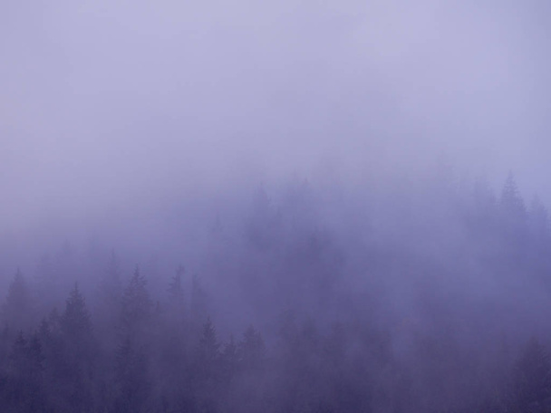 Montañas de Carpatian en la niebla
  - Foto, Imagen