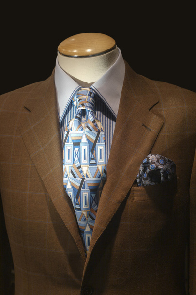 Braune Jacke & blau gemusterte Krawatte - Foto, Bild