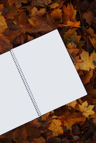 Empty notepad with white pages.  - Photo, Image