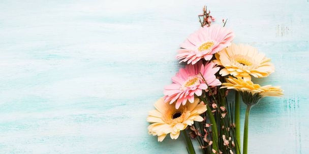 Beautiful flowers on pastel green background - Photo, Image
