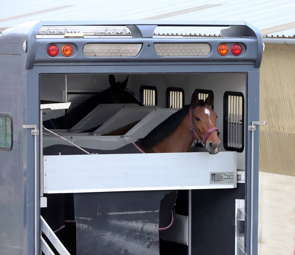 Парковка прицепов для перевозки лошадей
  - Фото, изображение