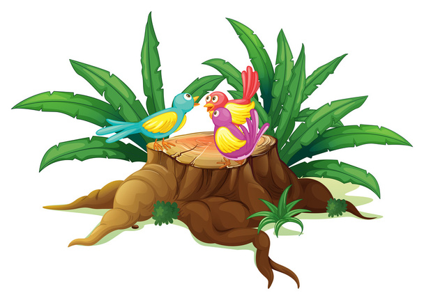 Дерево с тремя разноцветными птицами
 - Вектор,изображение