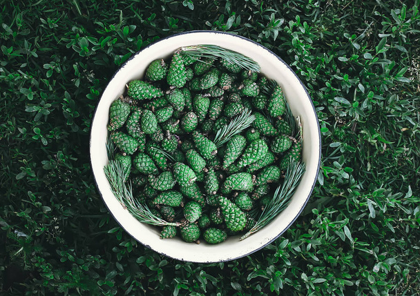 Cones de abeto jovens verdes em uma grande xícara preparada para cozinhar xarope caseiro
. - Foto, Imagem