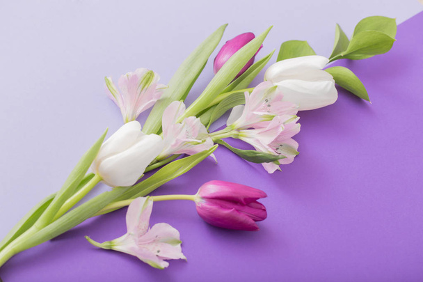beautiful spring flowers on paper background - Foto, imagen