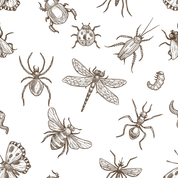 Insects that fly and creep monochrome sepia sketches seamless pattern. Big dragonfly, beautiful butterfly, tiny ant, scary spider, short worm, cute bee and round ladybug isolated cartoon flat vector illustrations set. - Vector, Imagen
