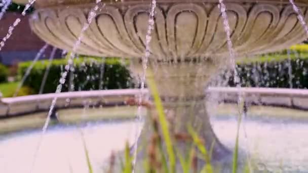 dziennej starej fontanny w parku  - Materiał filmowy, wideo