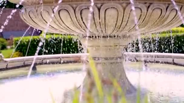 vue diurne de la vieille fontaine au parc
  - Séquence, vidéo