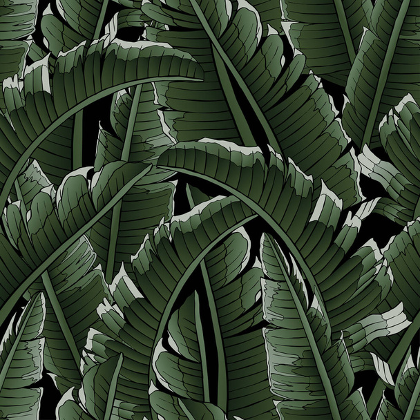 Seamless tropical pattern. Banana Leaves palm tree illustration. Modern graphics. - Vektor, kép
