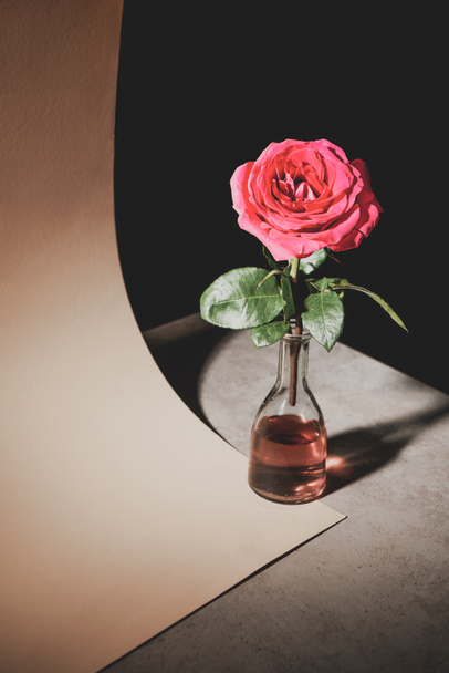 roze roze bloem in glazen fles op stenen tafel met vel papier geïsoleerd op zwart - Foto, afbeelding